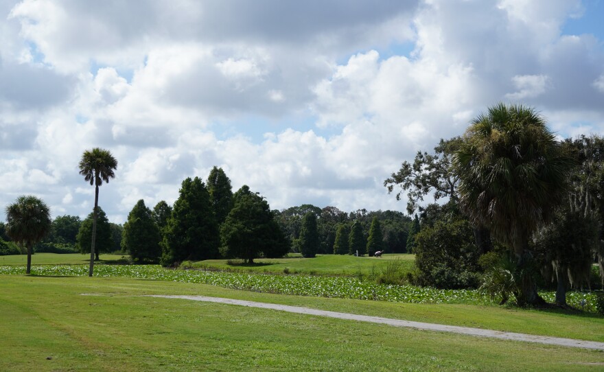 golf course surrounded by trees 