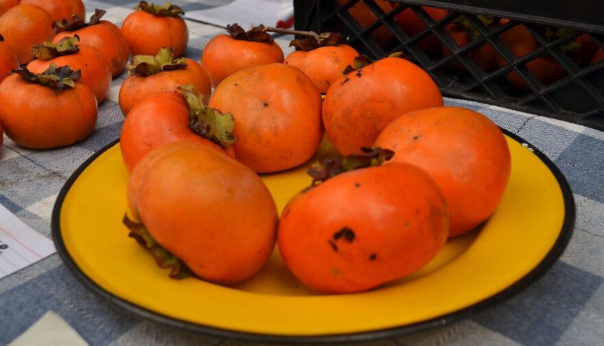 These kaki fuyu, or Asian persimmons, came from Schultz and Daughter’s farm in Alachua. (Nicole Dan/WUFT News)