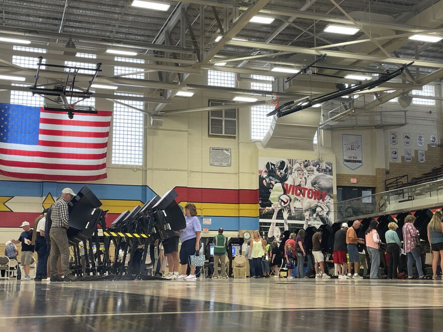 People stand a voting booths in a school gym.