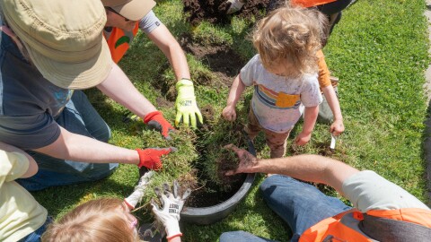 Thirty-three communities have received a total of nearly $5 million of community tree planting grants from the Minnesota Department of Natural Resources.
