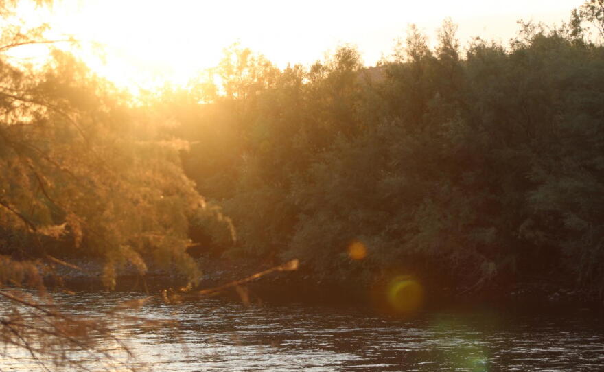 The glow of the sun over plants near the edge of the river