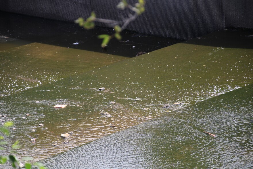 Trash flows down a creek.