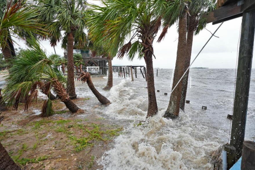 Storm surge pushes water past wind swept palm trees along the Gulf of Mexico, Monday, Aug. 5, 2024, in Horseshoe Beach, Fla.