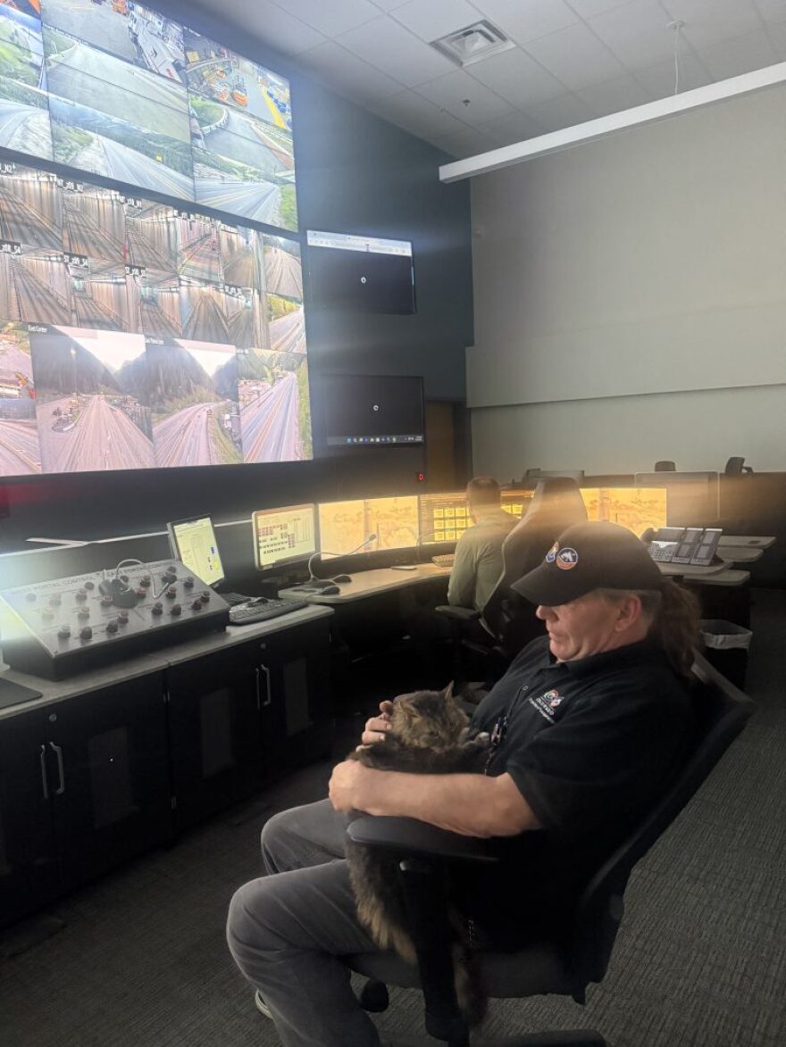A person holds a cat on their lap in front of a large screen of security cameras.