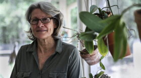 Joyce DiBenedetto-Colton, a retired Miami Dade College educator, at her home in High Springs. DiBenedetto-Colton says she and her husband migrated from Miami to North Central Florida “in great part due to present and impending climate change.” Photo credit: Andrea Cornejo.