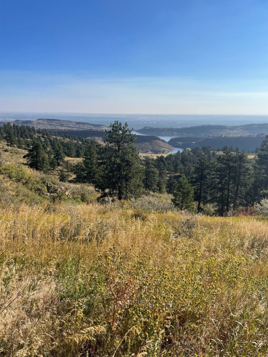Hiking trails with water in the distance.