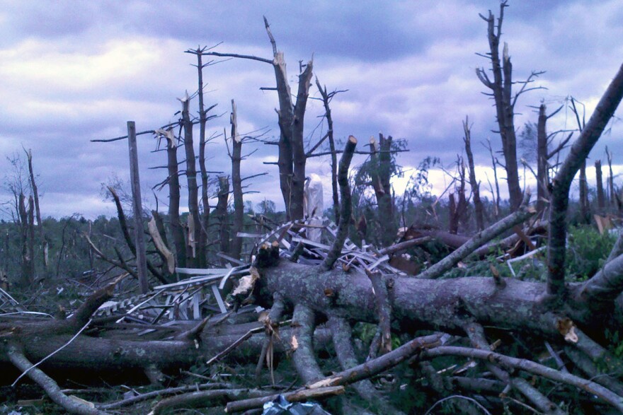 When tornadoes and storms blow down trees, they destroy wildlife habitats and open the door for invasive species to flourish. (Massachusetts Deptartment of Environmental Protection, Wikimedia Commons)