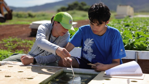 Students study commercial aquaponics at Nalo Farms as part of a Leeward Community College sustainable agriculture course in this undated photo from 2025.