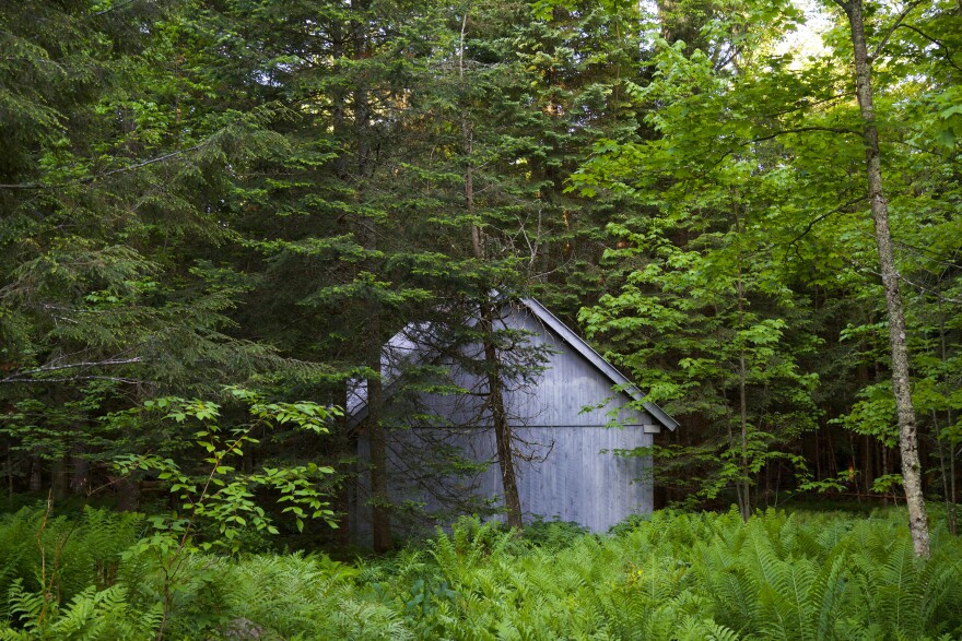 A slate-colored barn in the woods.