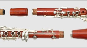 Parts of a clarinet, which are made from rosewood.