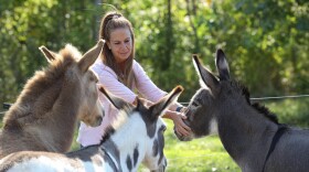 Michell Rist and he donkeys that she has rescued at her home in Hilton. Rist hopes to create a donkey sanctuary where she can help rehabilitate and care for donkeys that need a home.