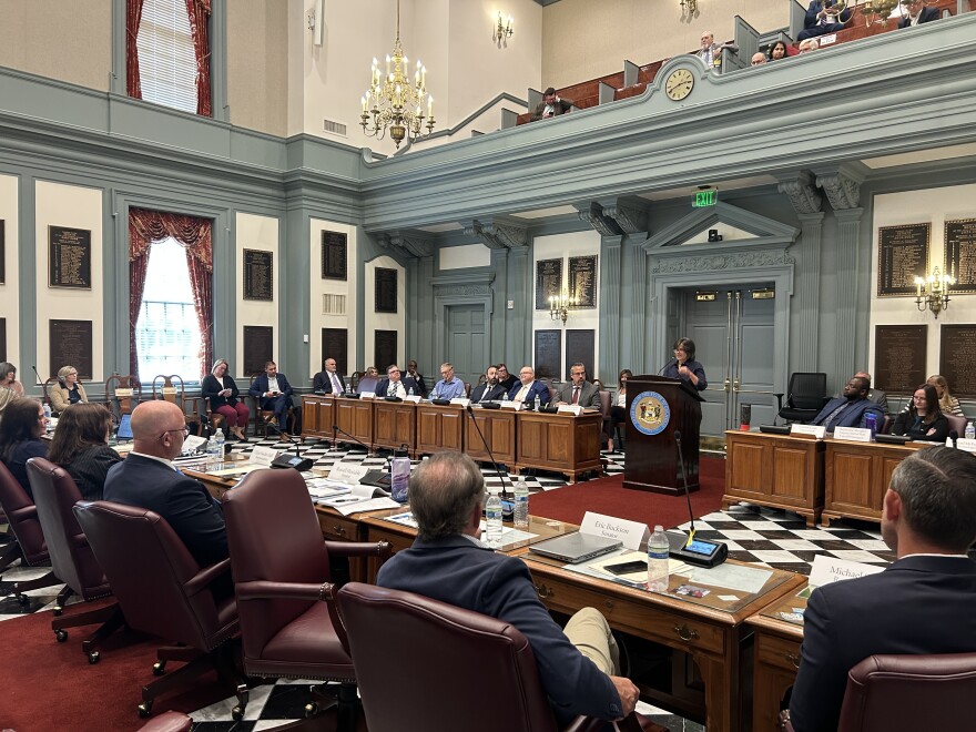 The Special Committee heard from public commenters, including Wilmington City Councilmember Christian Willauer. "People in the fifth district are scared by the new tax tax bills they received. Many of them cannot afford these new bills that are 1000s more than they paid last year," Willauer said.