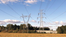 Utility companies are spending billions building out transmission and distribution lines around the country, leading some to call for an independent monitor to protect customers.