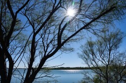 Mitchell Lake at Mitchell Lake Audubon Center in San Antonio Texas on December 16, 2023.