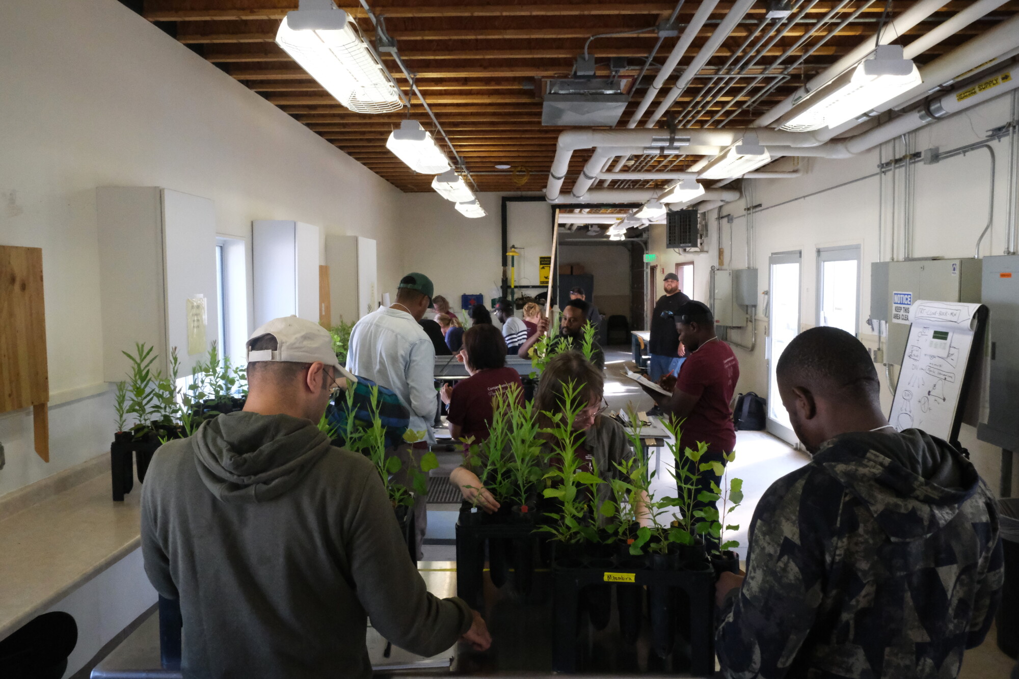 People from around the world come to Rhinelander to learn how to best use plants to clean up waste