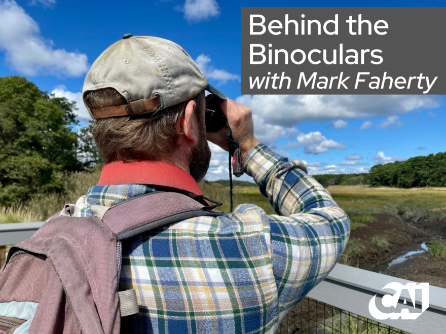 Behind the Binoculours CAI.png