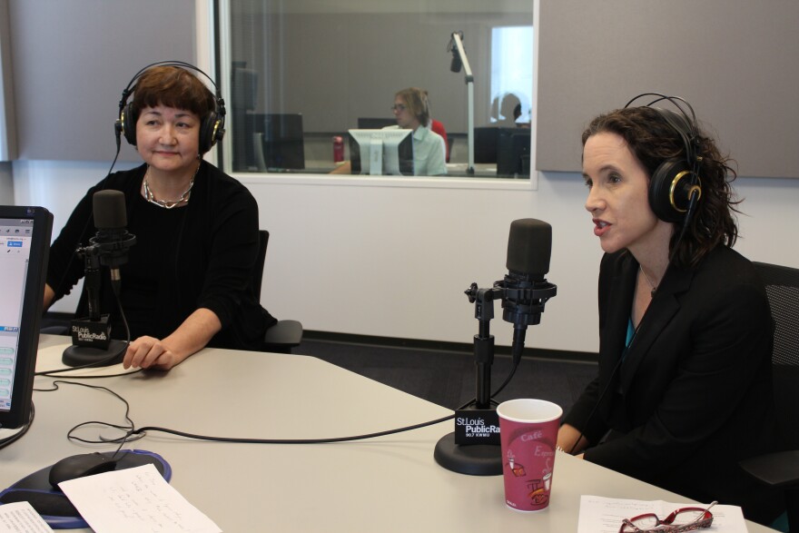 Anna Crosslin of the International Institute of St. Louis and Jana Mason, senior policy advisor to the U. S. Government for the United Nations High Commissioner for Refugees, joined host Don Marsh in studio.