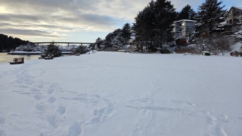 A public park and sitting area where dogs and kids typically play in the city of Kodiak. By Monday, Dec. 8, it was covered with about a foot of snow.