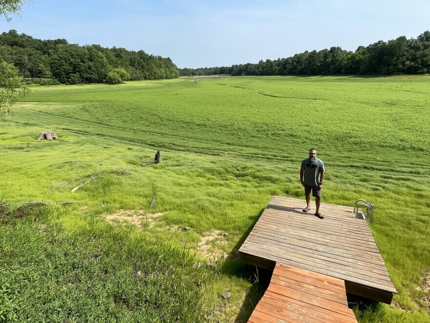 Will Topp said it took about a week for Lake George to fully drain when the city breached the lake levee this spring. Grass has grown on the lakebed in the months since.
