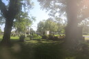 Graves at Norfolk's Elmwood Cemetery in September 2026.