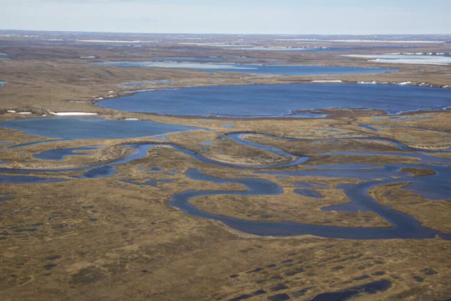 The National Petroleum Reserve-Alaska encompasses important habitat for migratory birds. The vast region is also increasingly promising for oil development. (Photo by Bob Wick, courtesy BLM)
