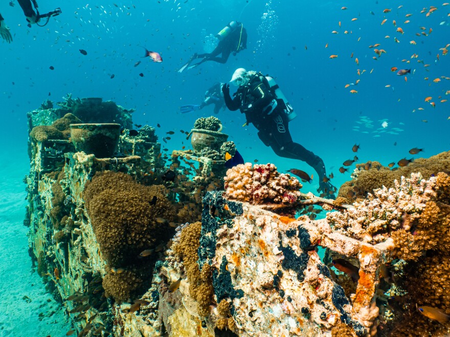 Unlike artificial reefs made out of shipwrecks, new designs will provide more protection against waves.