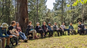A group of people sitting on folding chairs in a semi circle in a clearing in the forest.