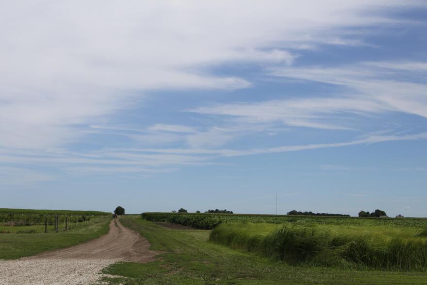 The University of Illinois' Energy Farm is situation on 320 acres south of Urbana. Crops of all kinds and shapes are grown for research, including sugar cane in a greenhouse and miscanthus grasses in the field.
