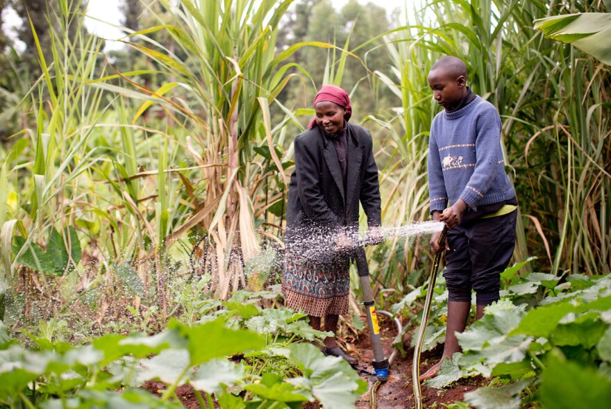 Creative Financing to Make Small-Scale Farming Technologies Affordable for the Rural Poor Small-scale farming is the principal source of livelihood for many in Kenya. Agriculture provides 71 percent of employment and accounts for over 25 percent of Kenya's GDP.