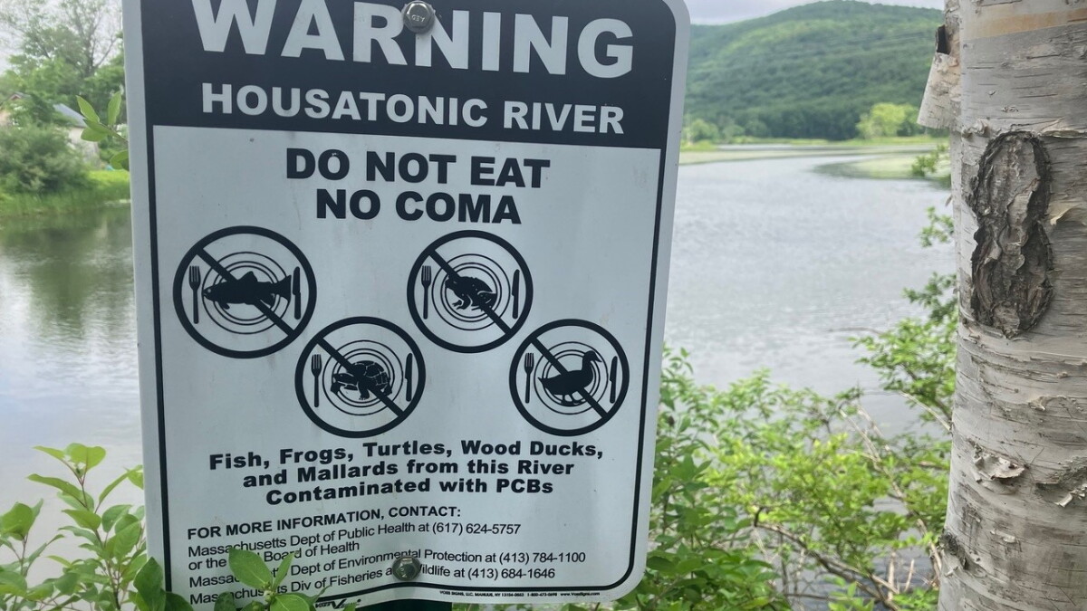 Federal appeals court rejects environmentalists' challenge to EPA's Housatonic cleanup plan - Vimarsana News