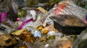 Food waste to be processed at the Vanguard Renewables Organics Recycling Facility in Agawam. (Jesse Costa/WBUR)