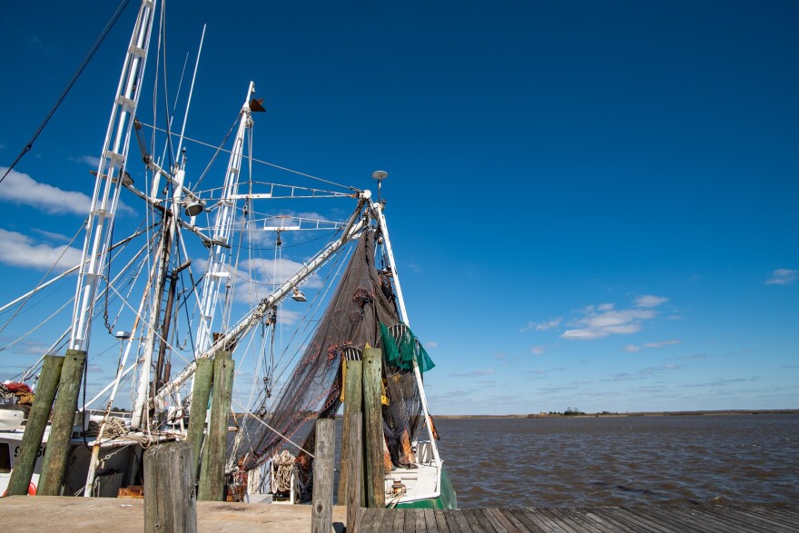 Florida blames Georgia’s overconsumption of water for the decimation of the state’s oyster industry.