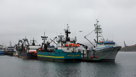 Fishing boats lined up at the Spit Dock in Unalaska's Port of Dutch Harbor, Nov. 19, 2025.