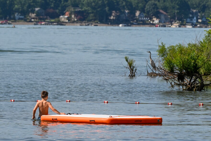 A boy wading into the water at Palmyra Beach looks at a blue heron on the shore of Lake Wallenpaupack.