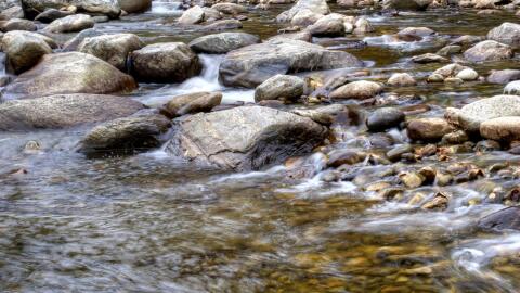 water flowing in a stream