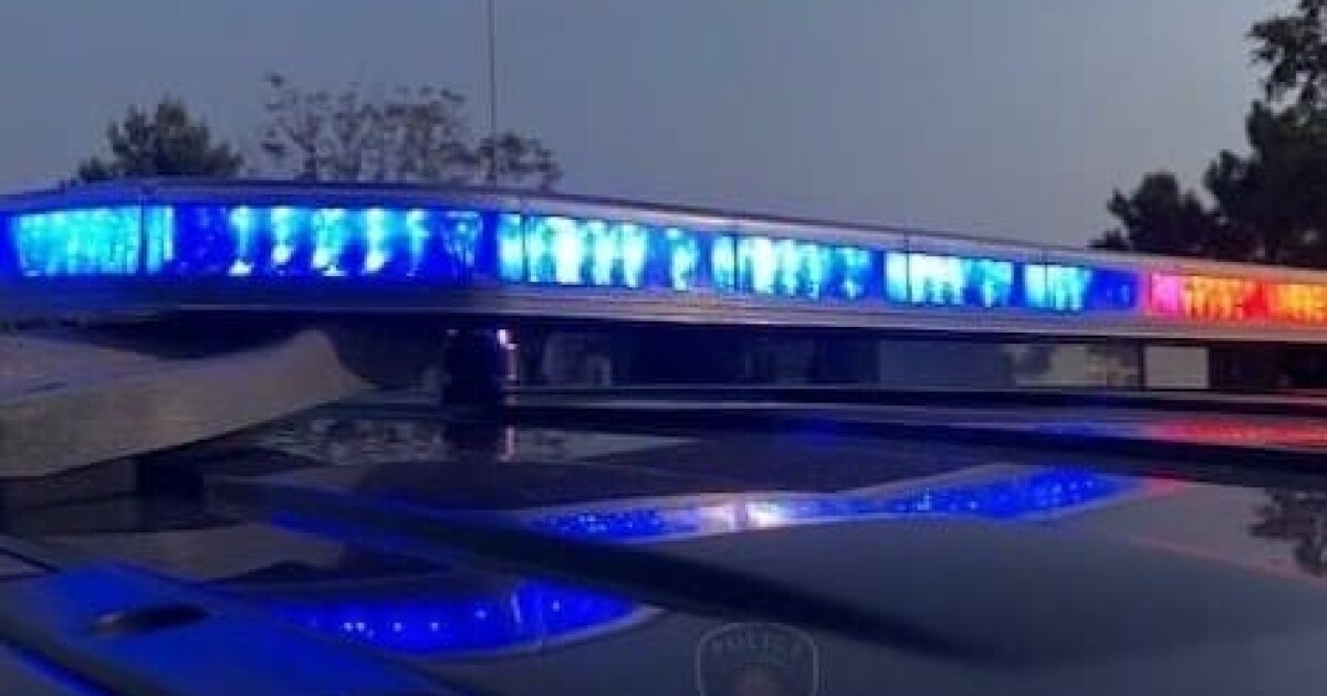 Pedestrian in fatal crash identified