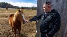 Carl E. Dahl House President and CEO Shawn Hayden pets one of the Newfoundland ponies on the farm. (Jesse Costa/WBUR)