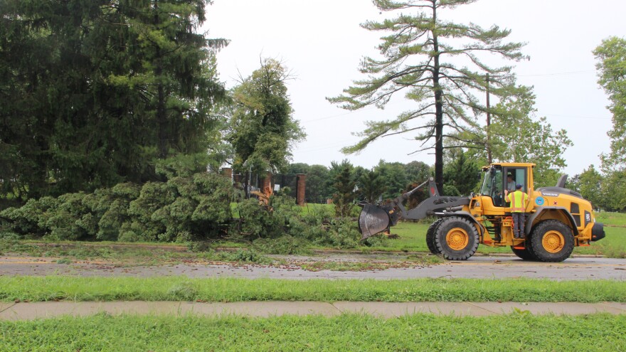 A construction digger pushes parts of a tree out of a road. 