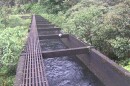 The East Maui Irrigation Company (EMI) has been diverting water off stream in East Maui for nearly 150 years. Now, an appeals court has ruled that EMI can continue removing water from the streams with temporary, month-to-month permits rather than long-term leases, which would require a comprehensive environmental review of the diversions' impacts.