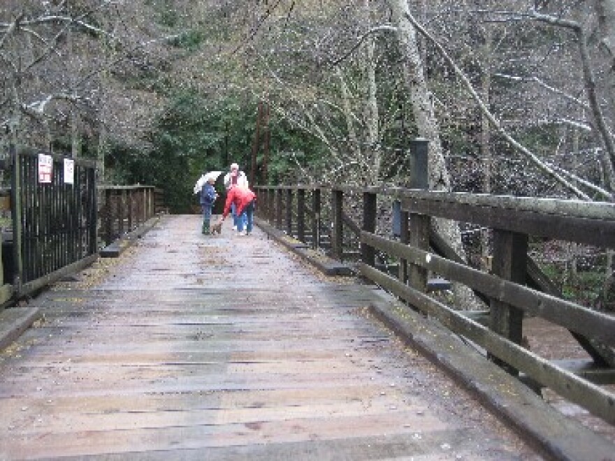 Hal Latta and others stand on the bridge that connects his coastal neighborhood to Highway 1 in the Big Sur Valley.