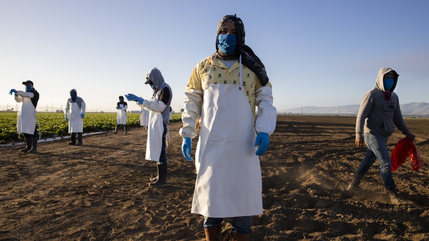 Before massive wildfires broke out in California, farmworkers already had to take extra precautions for COVID-19. Now they must worry about dangerous air from wildfires. In this photo, farmworkers arrive early in the morning to begin harvesting on April 28 in Greenfield, Calif.