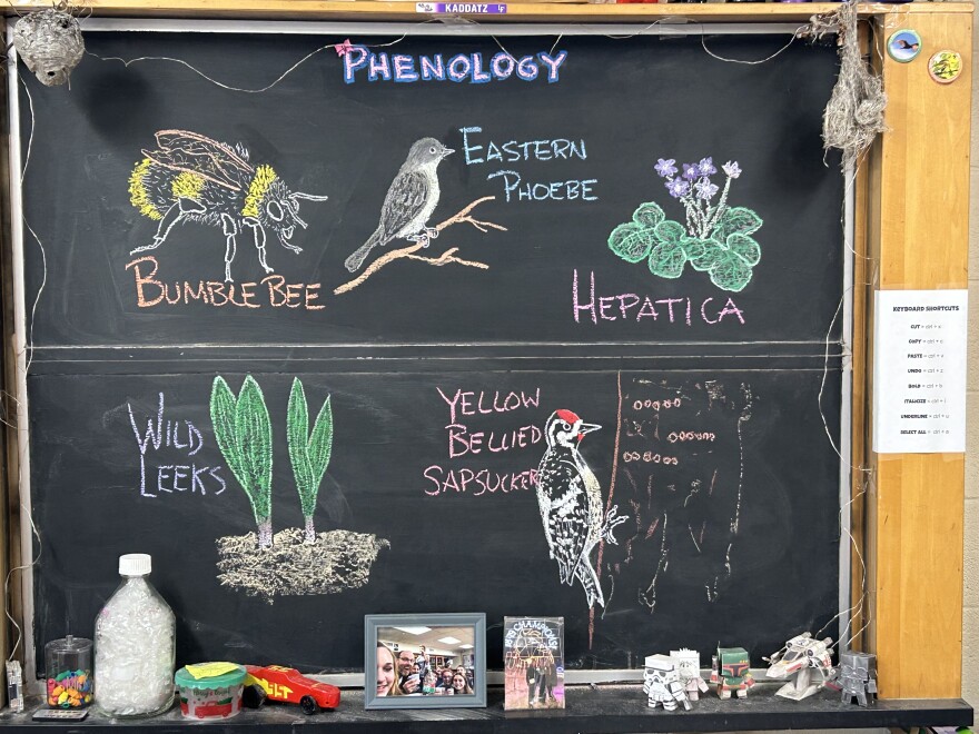 A blackboard shows the phenology topics for the week preceding April 23, 2024. They include wild leeks, a Yellow-bellied Sapsucker, hepatica flowers, an Eastern Phoebe, and a bumblebee.