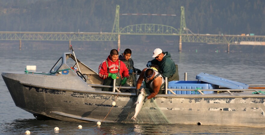 Tribal fishermen haul in a salmon with their gill-nets Wednesday, Sept. 7, 2011, along the Columbia River, near Hood River, Ore.