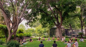 Yoga class, Chris Park