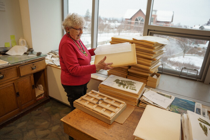 Testo Name UVM scientists name newly discovered fern after longtime volunteer ...