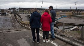 Anastasia Vlasova/Getty Images