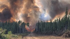 The Clear Fire burns in the Kobe Ag subdivision near Healy on July 6, 2022. That year was the state's seventh largest wildfire season on record, with 591 wildfires burning over 3 million acres. It was also a year with significantly early snowmelt.