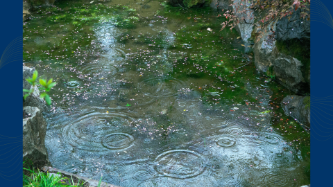 Cover art for The KLCC Conundrum - "Rain Words"