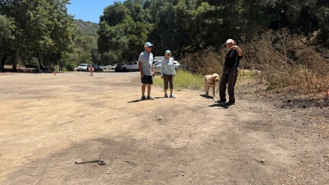 Lava the goldendoodle is given training to avoid rattlesnakes by trainer Gina Gables from Snakesafe Dog