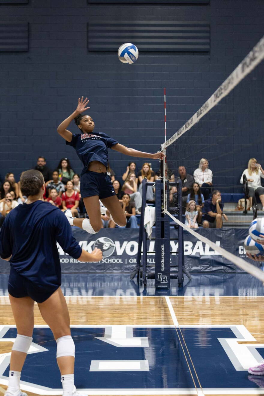UA Volleyball 94